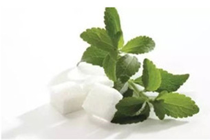 Membrane for Stevia Production